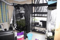 la "Bouba room" du moment loll