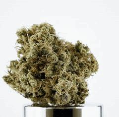 C mass Riri