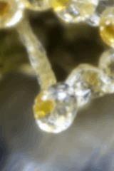 tritri