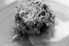 Critical Mass