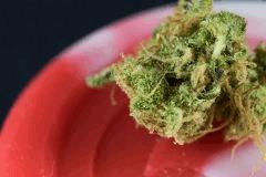 Critical Mass