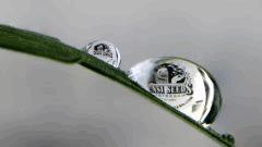 réfraction dans gouttes d'eau ^^