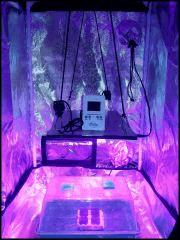 Espace germination, bouturage et plan mère.