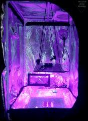 Espace germination, bouturage et plan mère.