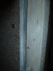 P1020558