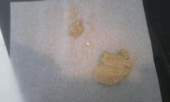 Ice O lator plushberry (3)