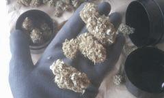 sacbd W