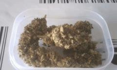 quantum berry 1