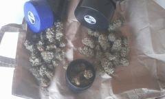 sacbd W