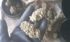 sacbd W