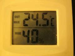 IMG 6831