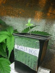 IMG 5820 22 02 Cro 1
