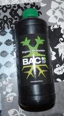 Bac