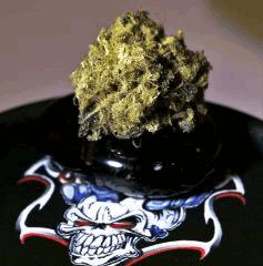 Critical Cheese