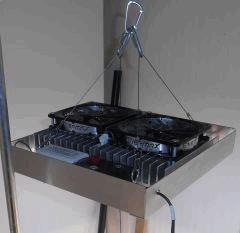 ornementale 50w 2