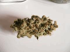 HAZE