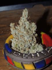 Moonshine Haze (Rare Dankness)