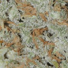 Moonshine Haze (Rare Dankness)