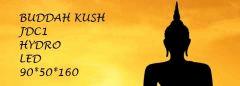 lord buddha