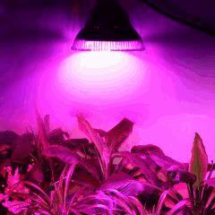 LED2