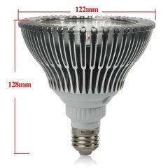 LED1