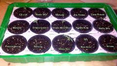 IMG 20150330 00163 2