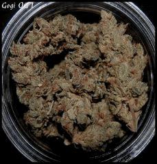 Goji 1 sèche   1