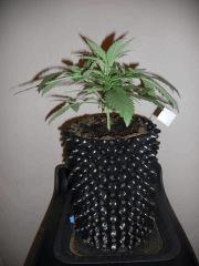 DSCN0672