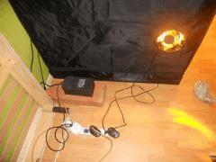 DSCN0656
