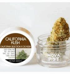 california kush