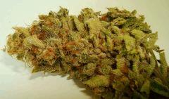 STRAWBERRY BANANA 2 RESERVA PRIVADA