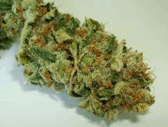 STRAWBERRY BANANA 1 RESERVA PRIVADA