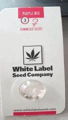 purpel Bud