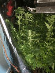 47 IMG 0269