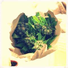 Un bouquet de chocolope tout frais pour ma femme ;)