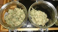Curing Chronic 1
