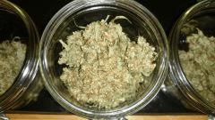 Curing Big Bud