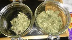 Curing Chronic 2
