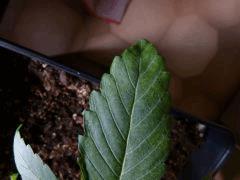 P1010767
