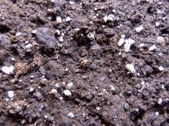 photo8