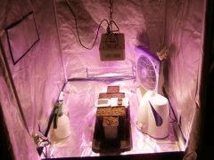 leds