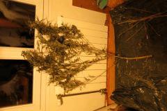 IMG 5366