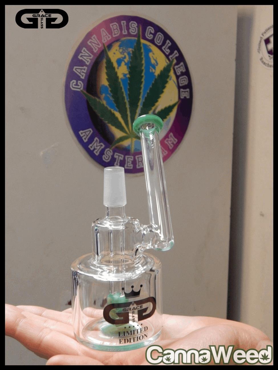 GraceGlass (5)