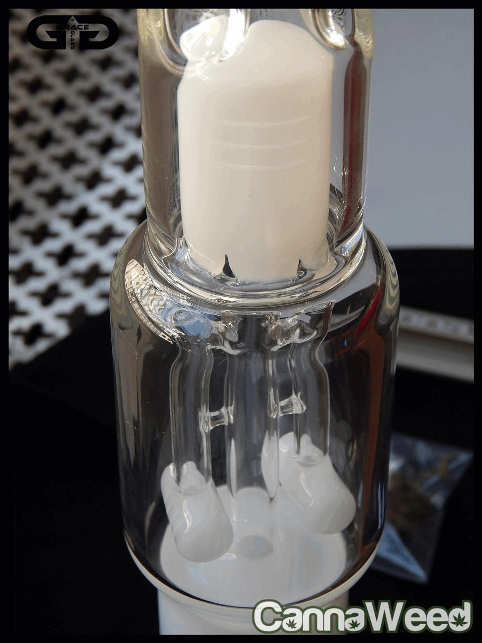 GraceGlass (19)