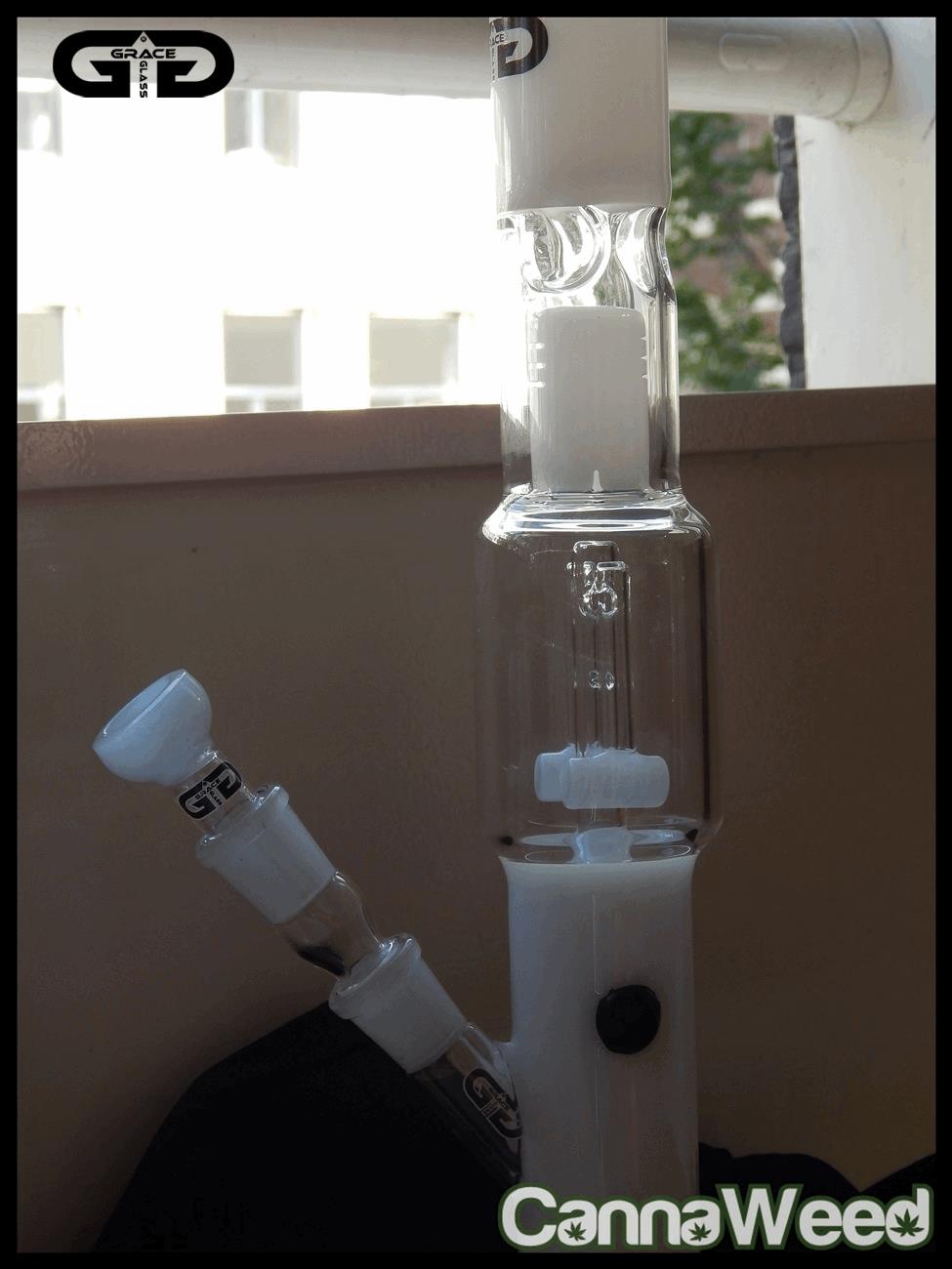 GraceGlass (10)