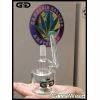 GraceGlass (5)