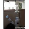 GraceGlass (10)