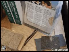 HempFlax (5)