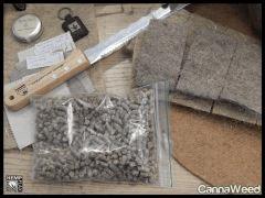 HempFlax (3)