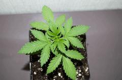 IMGP1040